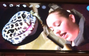 Meet your Posher, Jaz